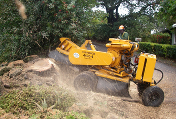 Knoxville Stump Grinding