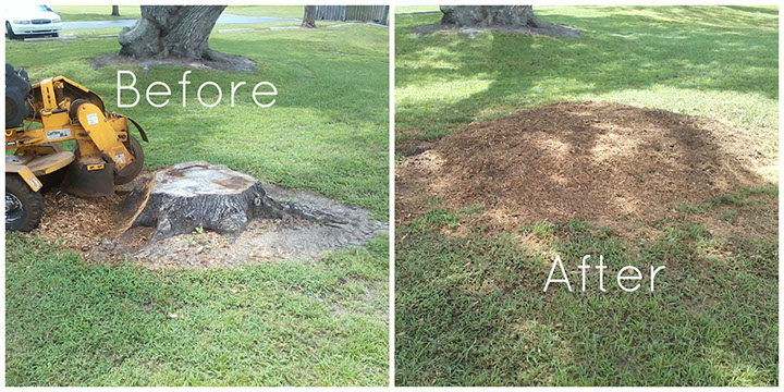 Before & After Stump Grinding Knoxville TN