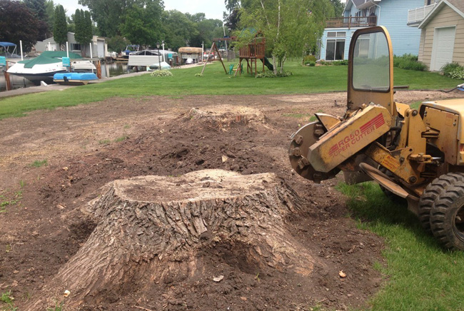 Stump Grinding Service Knoxville